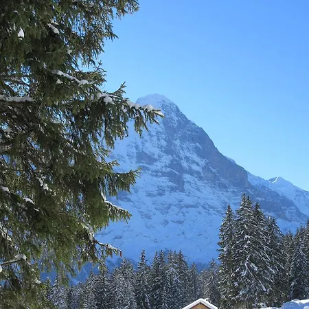 Chalet Casita