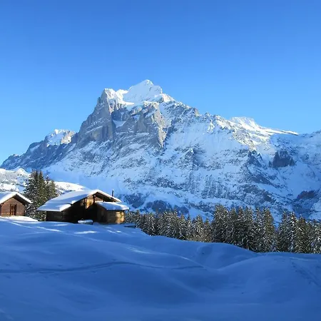 Apartment Chalet Casita Grindelwald